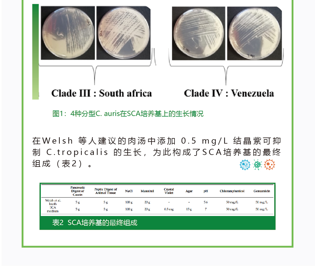 公眾號(hào)11_02.jpg